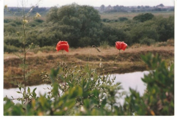 Фотовиставка Олександра Пизи